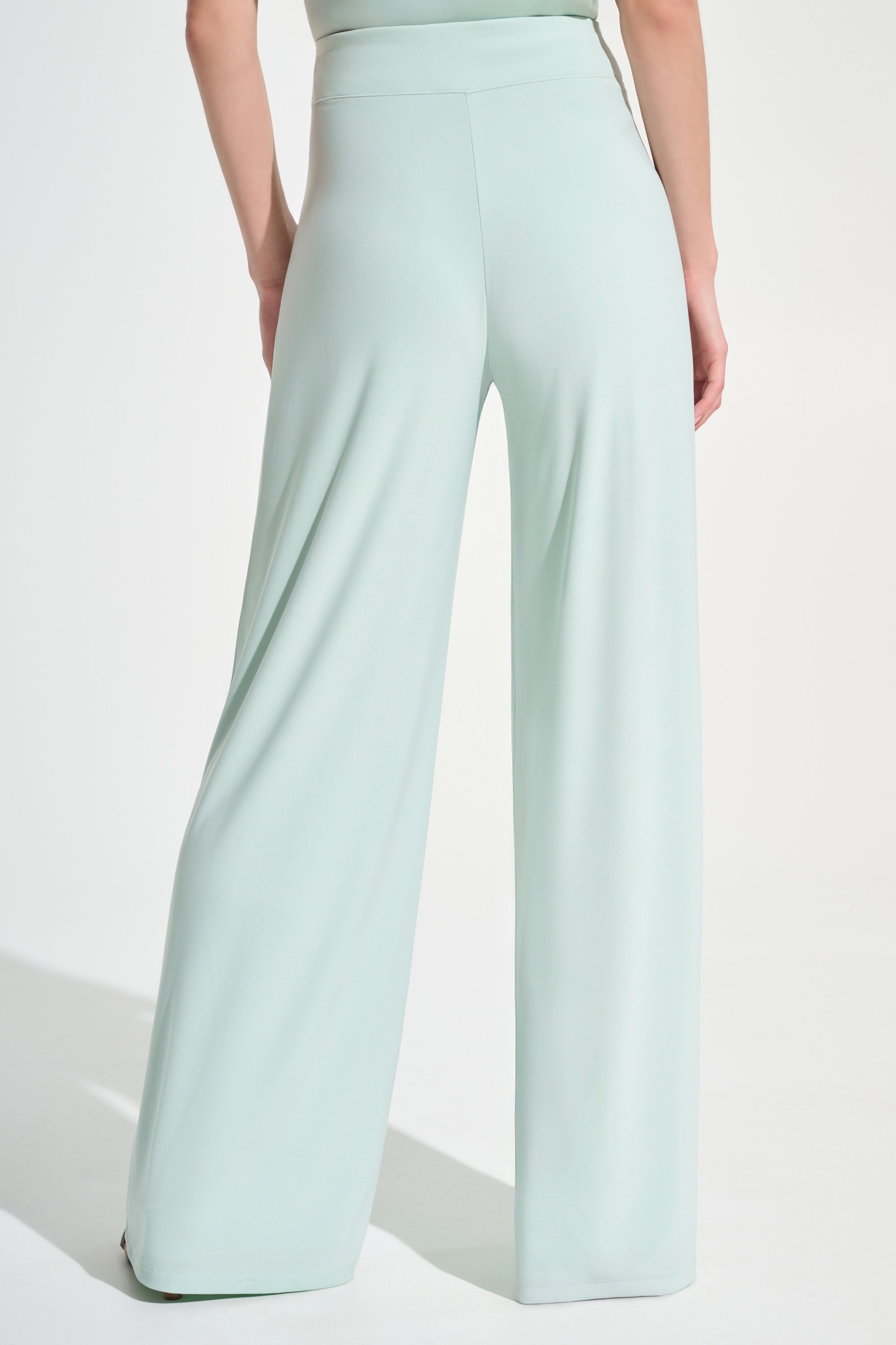 Wide Leg Pants in Pistachio 221340S26
