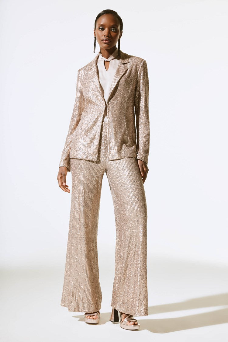 Sequined Straight Blazer 243772