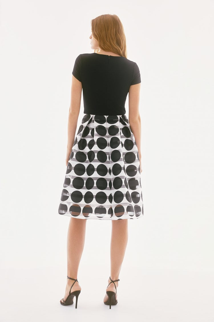 Silky Knit And Novelty Dot Full Skirt Dress 251754