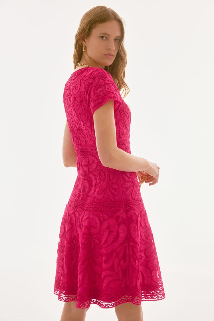 Embroidered Mesh Fit and Flare Dress 251768X