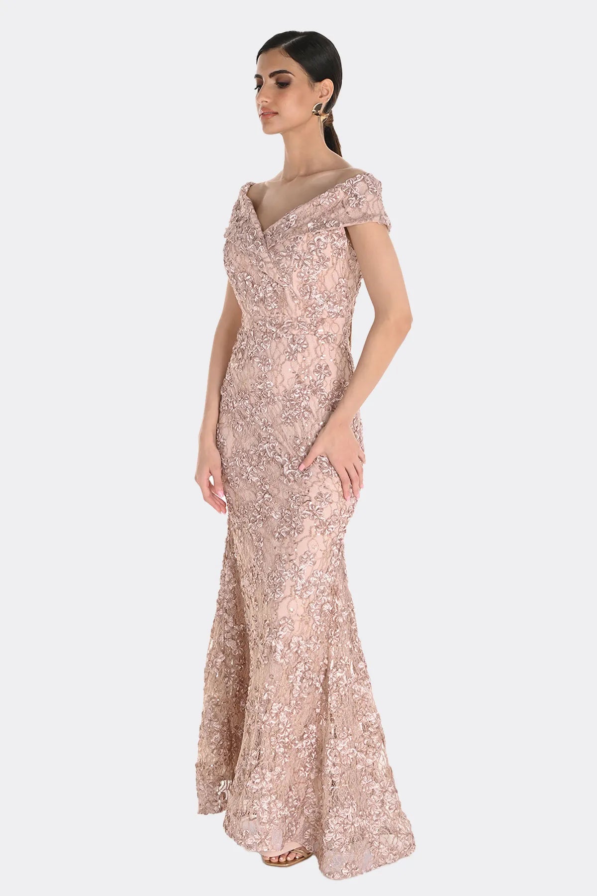 Embroidered Lace Gown in Blush 259716
